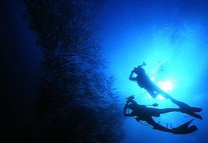 2 divers photographing a shoal of jacks off Sipadan Islan... by Yvette Lee 